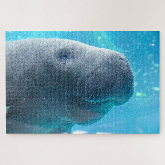 Manatee Puzzle (Horizontal)
