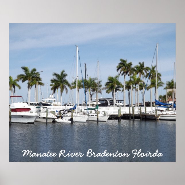 Manatee River Bradenton FL Poster (Vorne)