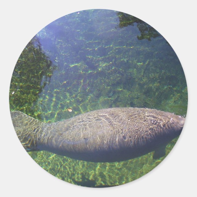 Manatee Runder Aufkleber (Vorderseite)