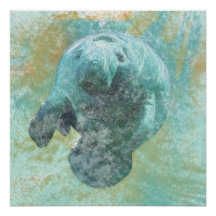 Manatee Sea Cow Art Print