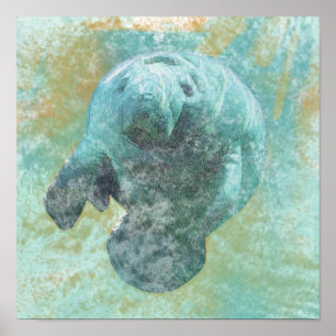 Manatee Sea Cow Art Print Poster