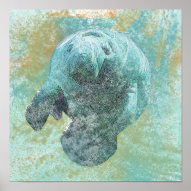 Manatee Sea Cow Art Print Poster (Vorne)