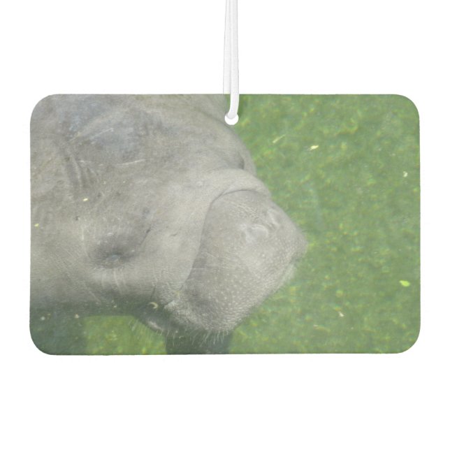 Manatee Smiles Autolufterfrischer (Vorderseite)