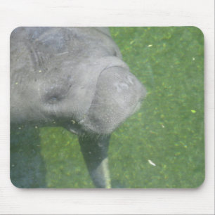 Manatee Smiles mousepad