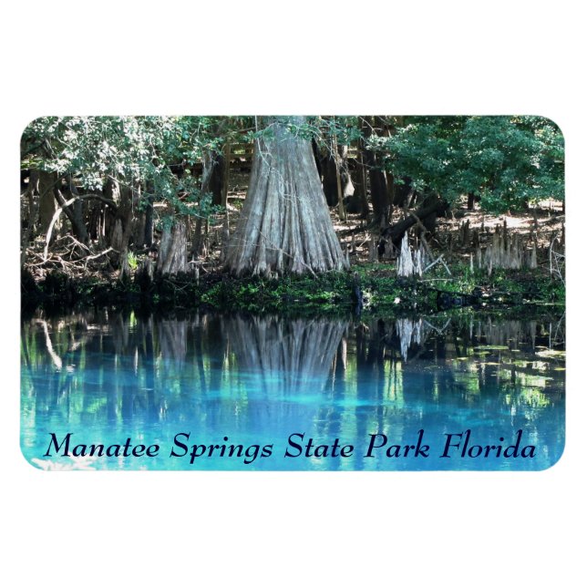 Manatee Springs Fl Flexi Magnet (Horizontal)