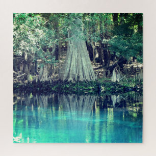 Manatee Springs Florida Puzzle
