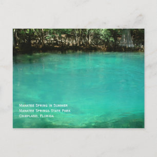 Manatee Springs Postcard Postkarte