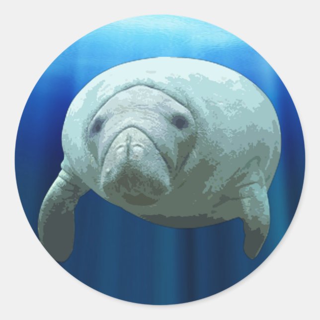Manatee Sticker (Vorderseite)