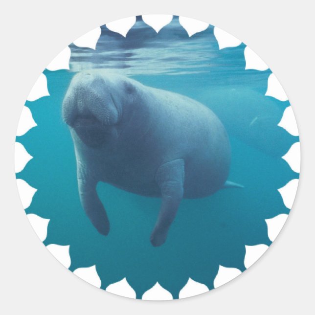 Manatee Stickers (Vorderseite)