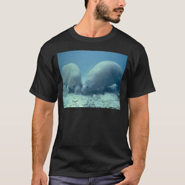 Manatee T-Shirt (Vorderseite)