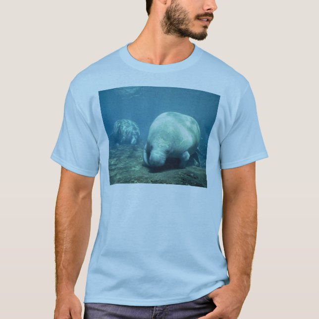 Manatee T-Shirt (Vorderseite)