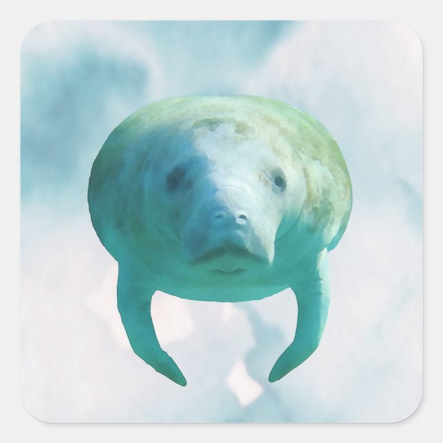 Manatee Watercolor Quadratischer Aufkleber (Vorderseite)