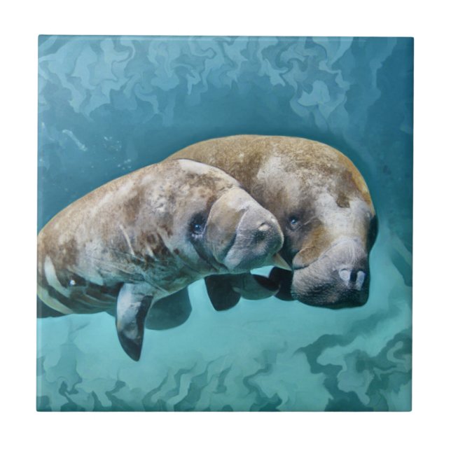 Manatees Fliese (Vorderseite)