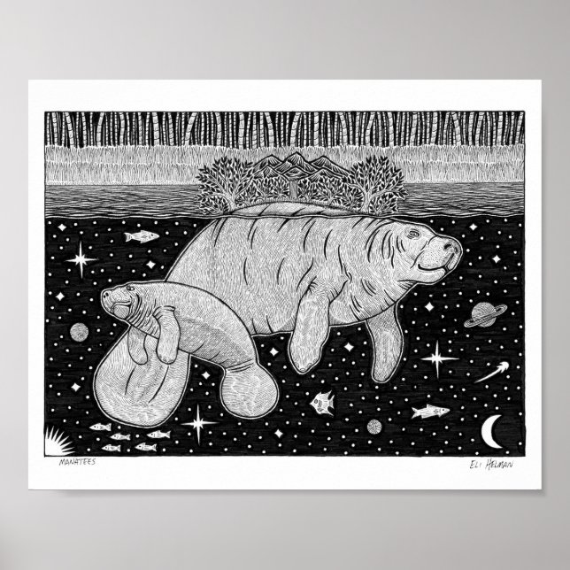 Manatees Poster (Vorne)