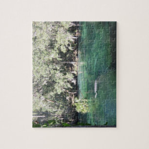 Manatees Swimming Florida Blue Springs Staat Park Puzzle