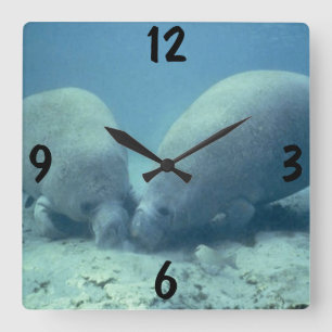Manatewall-Uhr Quadratische Wanduhr