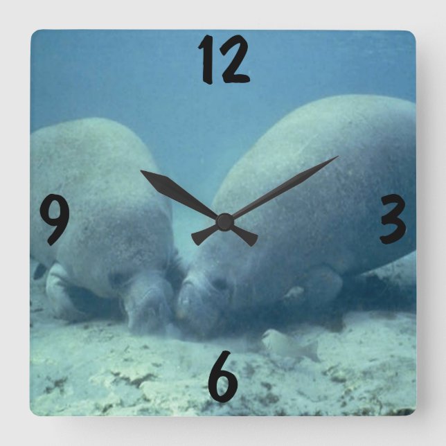 Manatewall-Uhr Quadratische Wanduhr (Vorderseite)
