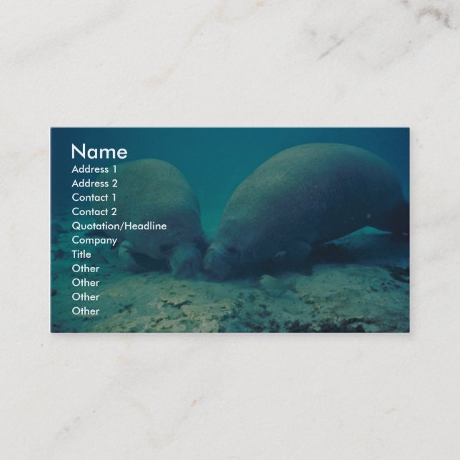 Manatewurzel in Sand Visitenkarte (Vorderseite)