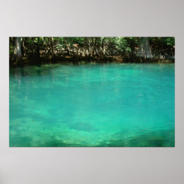 Manatex Spring Print Poster