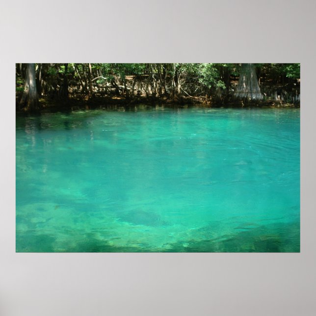 Manatex Spring Print Poster (Vorne)