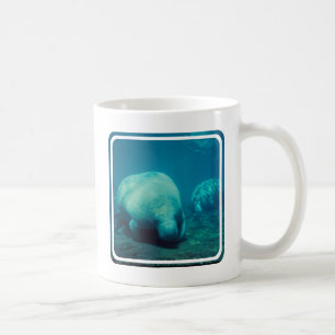 Manatis-Foto-Kaffee-Tasse Tasse