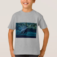Manatis, Lowry Park-Zoo, Tampa Bay, Florida, USA