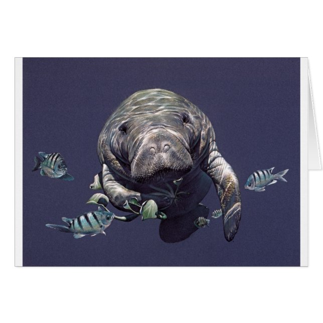 Manatis-Unterwasserwelt (Vorderseite (Horizontal))