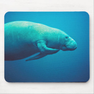 Manatis-Verkratzen Mousepad
