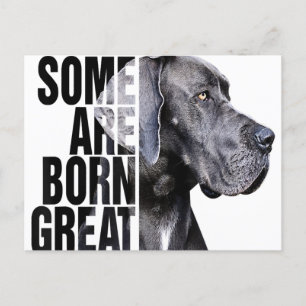 Manche sind bei Great Dane Lover Dog Lover Geboren Ankündigungspostkarte