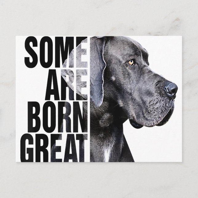 Manche sind bei Great Dane Lover Dog Lover Geboren Ankündigungspostkarte (Vorderseite)