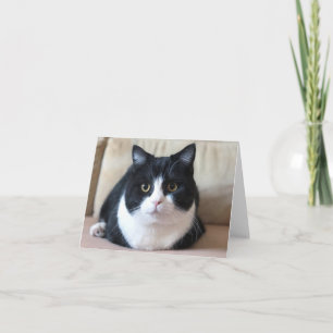 Manchester-Fotokarte Karte