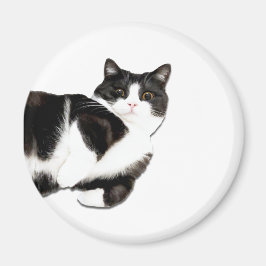 Manchester ist "Hi!" Magnet