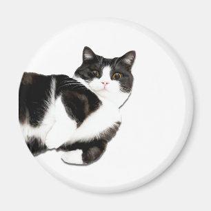 Manchester ist "Hi!" Magnet