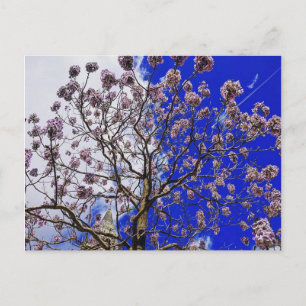 Manchester Spring Postkarte