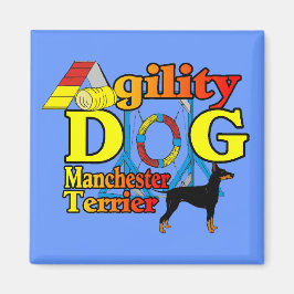 Manchester_Terrier_Agility Magnet
