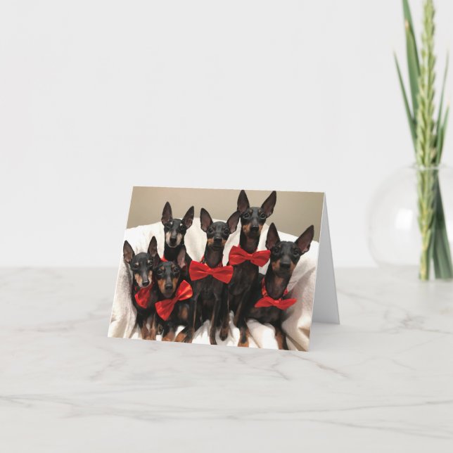 Manchester Terrier Card Dankeskarte (Vorderseite)