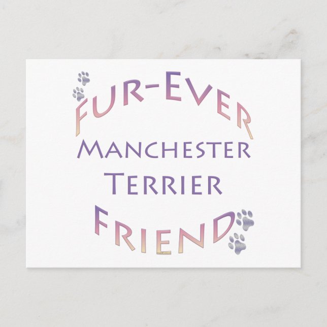 Manchester Terrier Furever Postkarte (Vorderseite)