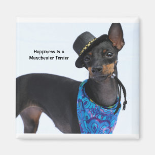 Manchester Terrier Happy Magnet
