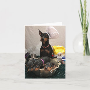 Manchester Terrier Holiday Card Karte