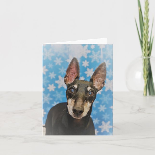 Manchester Terrier Holiday Card Karte (Vorderseite)