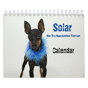 Manchester Terrier Small Calendar 2021 B Kalender