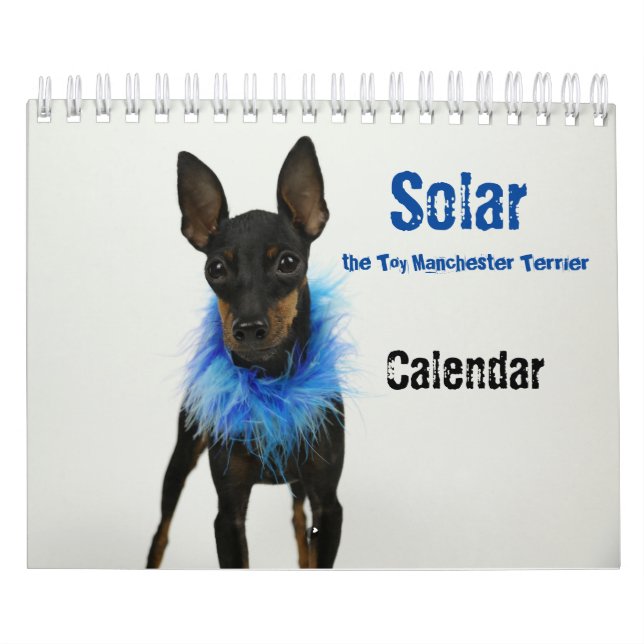 Manchester Terrier Small Calendar 2021 B Kalender (Titelbild)