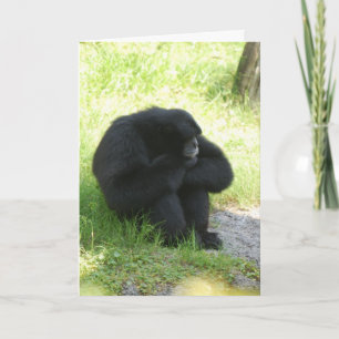 Manchmal haben sogar Affen schlechte Tage Karte