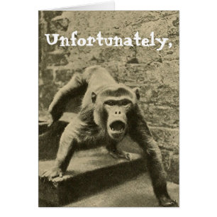 Manchmal ist es dein Zirkus, das sind deine Affen