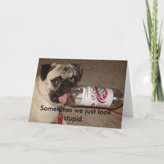 Manchmal schauen wir gerade dumme Grußkarte Karte