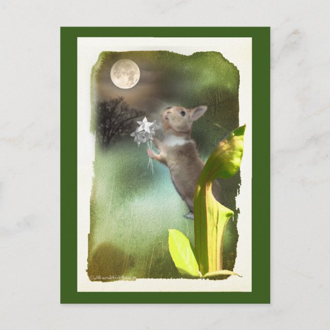 Manchmal spät nachts höre ich Joey singen / Karte (Vorderseite)