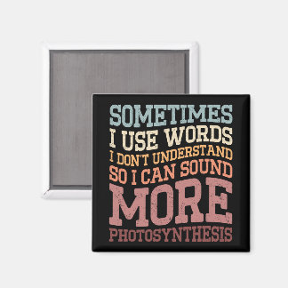 Manchmal verwende ich Wörter, die ich nicht witzig Magnet