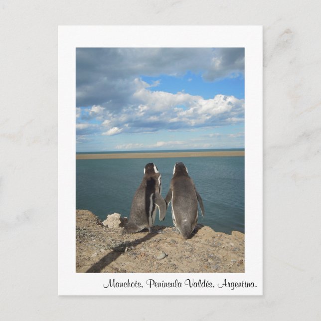 Manchos Postkarte (Vorderseite)