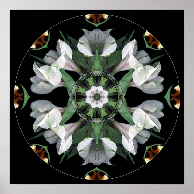 Mandala #06 poster (Vorne)