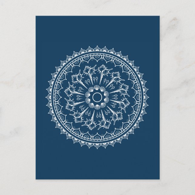 Mandala Made Of Seashells Postkarte (Vorderseite)